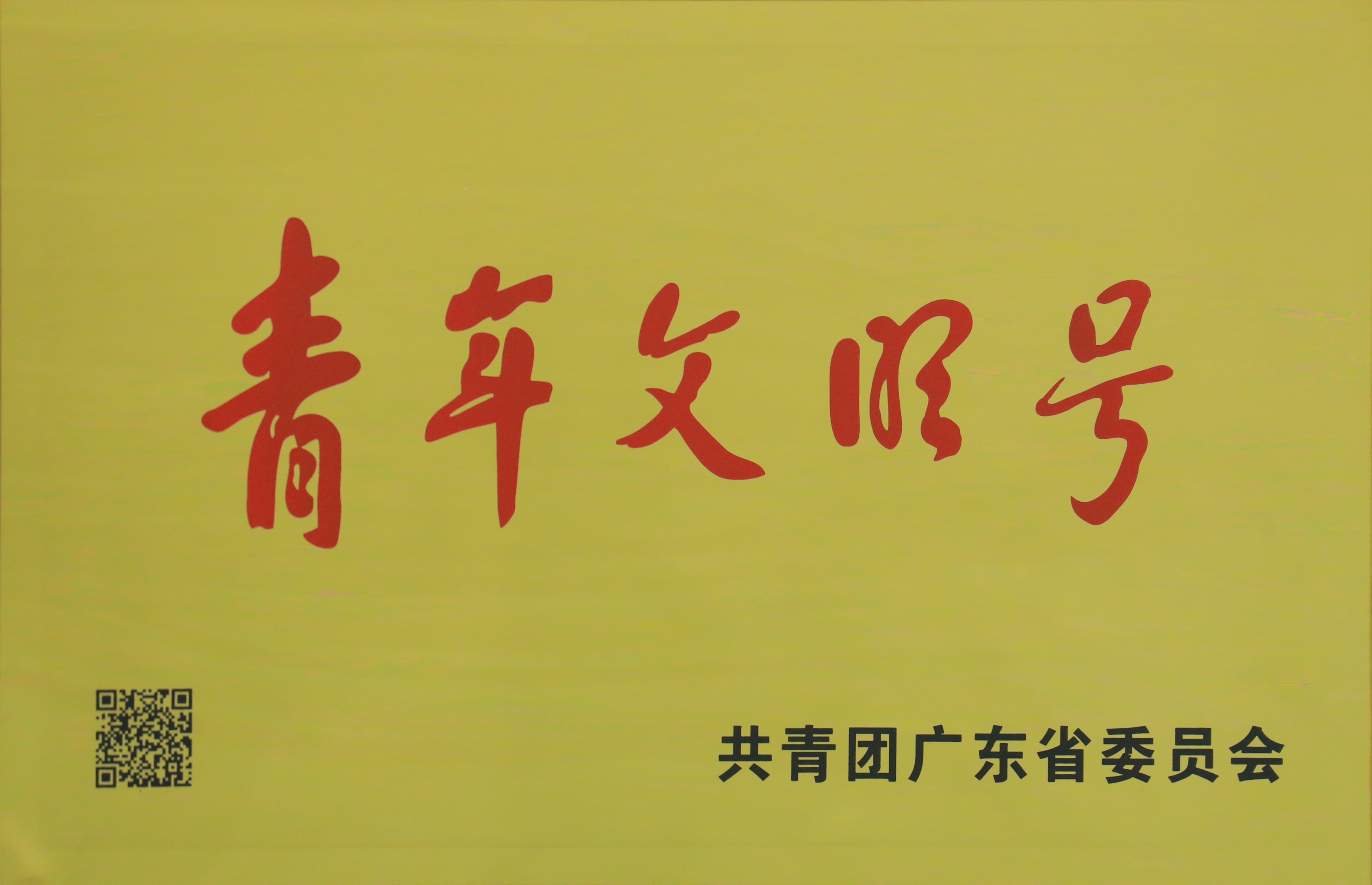 擎旗奮進(jìn)，用服務(wù)吹響“青年文明號(hào)”號(hào)角